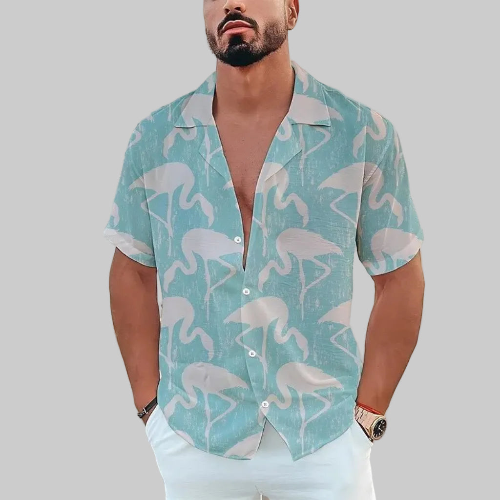 Use a Premium Short Sleeved Shirt for all time - CasualFlowshop